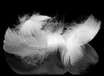 CUSCINO SOFT